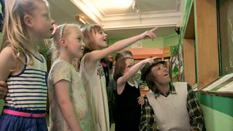 Mr Bloom: Here And There - Bolton Museum And Aquarium
