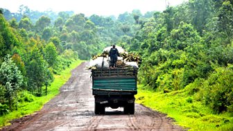 Stringer: A Reporter's Journey in the Congo