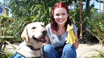 Blue Peter - One Year With Iggy The Puppy