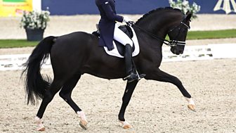 Equestrian: European Championships 2015 - Dressage