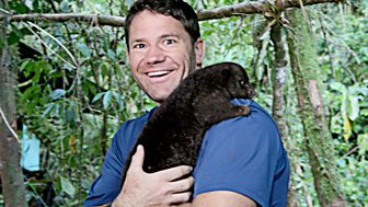 Backshall's Deadly Adventures - 15. The Best Of