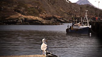 Shipping Forecast