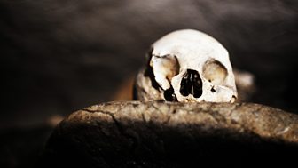 The Truth Is a Cave in the Black Mountains