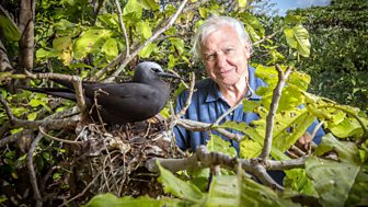 Great Barrier Reef With David Attenborough - Episode 2