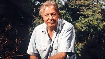 Attenborough's Passion Projects - 3. Lost Worlds, Vanished Lives