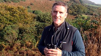 Iolo's Great Welsh Parks - Series 3: 2. Margam Country Park