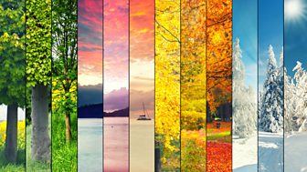 Four Seasons Stories