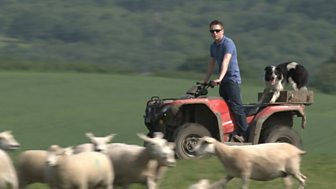 Panorama - Britain's Food & Farming: The Brexit Effect