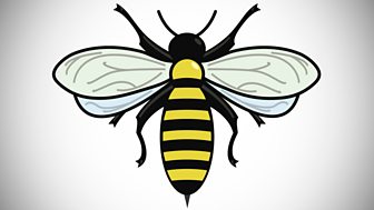 Buzz