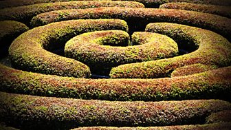Red Thread: On Mazes and Labyrinths
