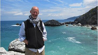 The metamorphosis summary picture