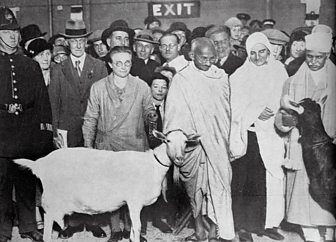 Black and white photograph of Gandhi in England with his goat