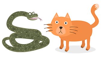 A snake and a cat