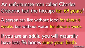 E01. Interesting facts.JPG