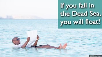 05 conditionals will float copy.jpg