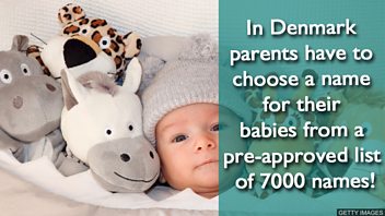 06 have to china copy.jpg