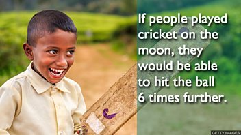 OME8 Interesting Fact 2