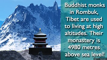 12 - be used to 178115032 copy.jpg