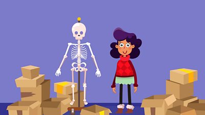 A young girl standing beside the model of a skeleton.