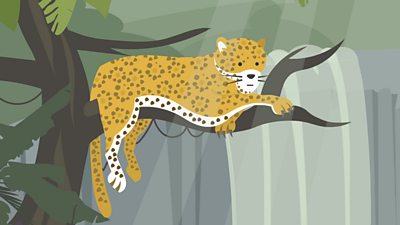 Jaguar in tree