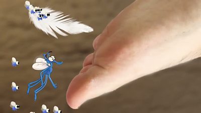 flies tickling a foot animation