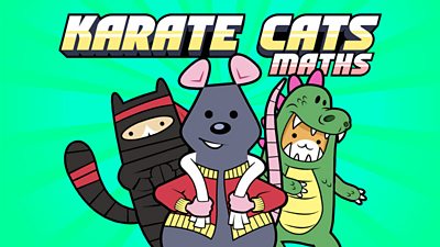the karate cats and coach