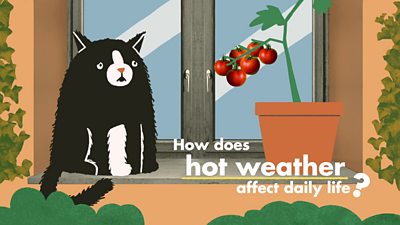 How does hot weather affect daily life?