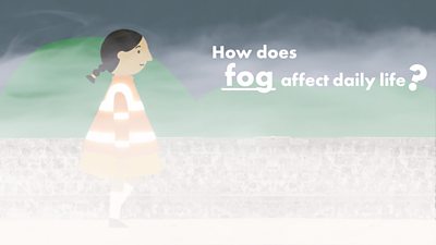 How does fog affect daily life?