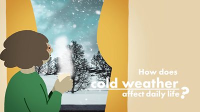 How does cold weather affect daily life?