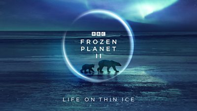 BBC Earth builds partnership with Minecraft for Frozen Planet II - Media  Centre