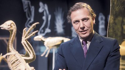 Sir David Attenborough looks at animal skeletons
