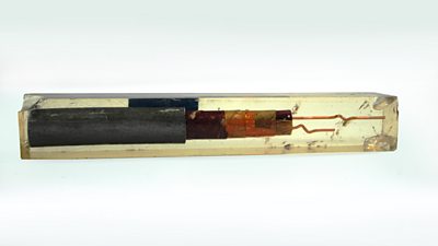 Encased in a glass display case, a length of sectioned copper cable in a thick surround. 