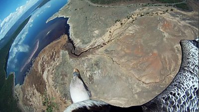 BBC Giant Screen films to premiere on small screens in China - Media Centre