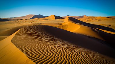 desert sands