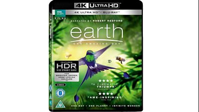 Værdiløs Masaccio usikre BBC Earth Films release Earth: One Amazing Day - the first documentary to  combine 4k Ultra High Dynamic range Blu-ray with Dolby Vision™ and Dolby  Atmos® - Media Centre