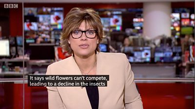 Image of Kate Crop presenting BBC News