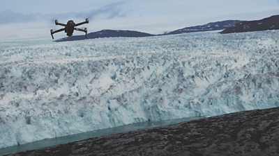 Greenland Lemmings' Collapse Pushes Predators to Brink, Science