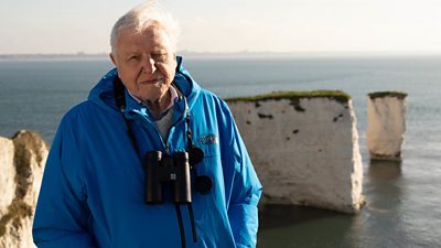 Sir David Attenborough stands on a cliff at Old Harry's Rocks on the Dorset coast
