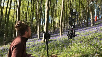 Cameraman Tom Beldam films bluebells using a camera attached to a cable dolly that can fly above them.