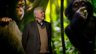 Sir David Attenborough Attends Bbc Earth Experience Preview Media Centre Sir David Attenborough Attends Bbc Earth Experience Preview Media Centre