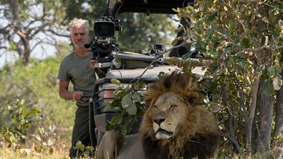 Gordan Buchanan pointing a camera at a big cat