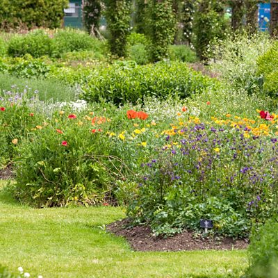 BBC Sounds - Plants: From Roots to Riches - Available Episodes