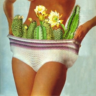 White Denim - Had 2 Know (Personal)