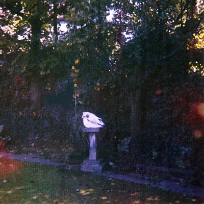 Wolf Alice - Yuk Foo