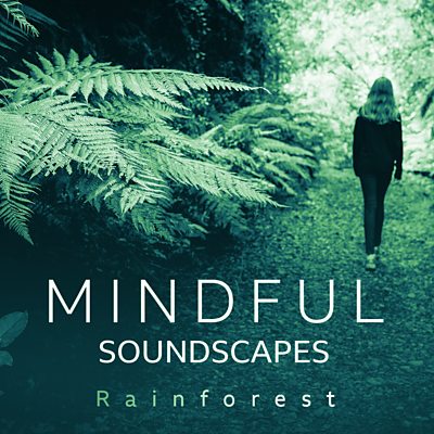 An escape to the rainforest with 2 hours of immersive sound