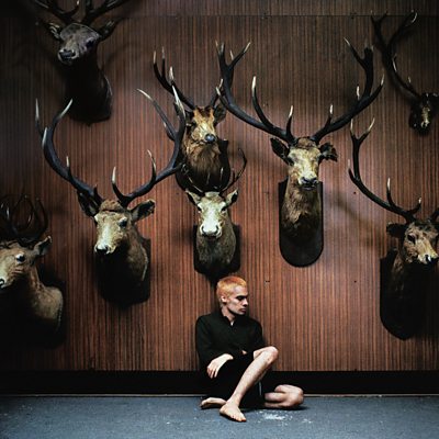 Sega Bodega - Deer Teeth