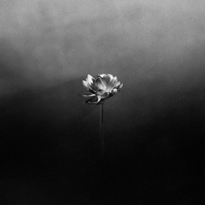 Little Simz - Flood (feat. Obongjayar & Moonchild Sanelly)