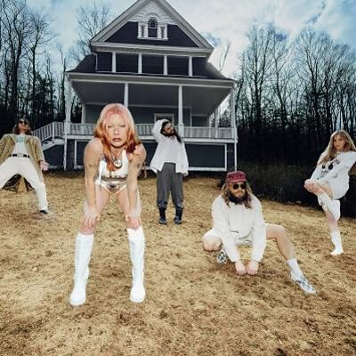 Wet Leg - mangetout (The Dare remix)