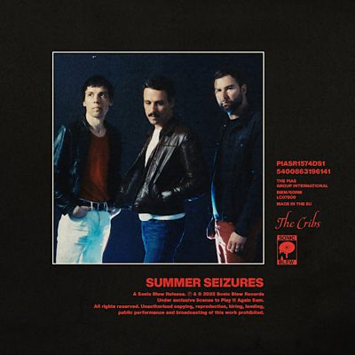 The Cribs - Summer Seizures