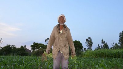 A farmer holds his crops in his hands in an Ethiopian field